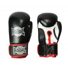 Боксерские перчатки для детей ROYAL BGR-FightPro-L
